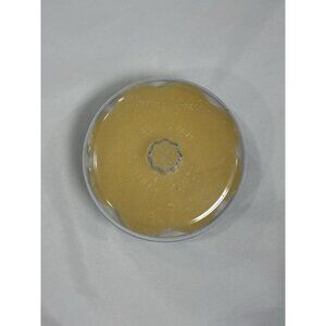 Vintage Delagar Spring Fresh SEALED CONTAINER PERFUMED DUSTING POWDER+PUFF 5oz